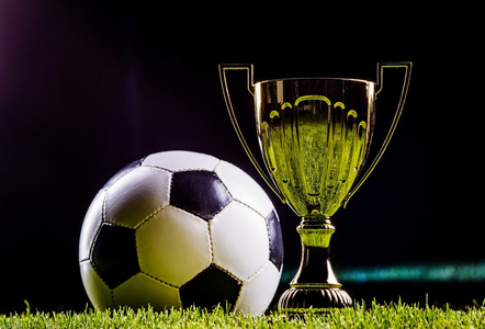 涯初期也曾 涯初期也曾