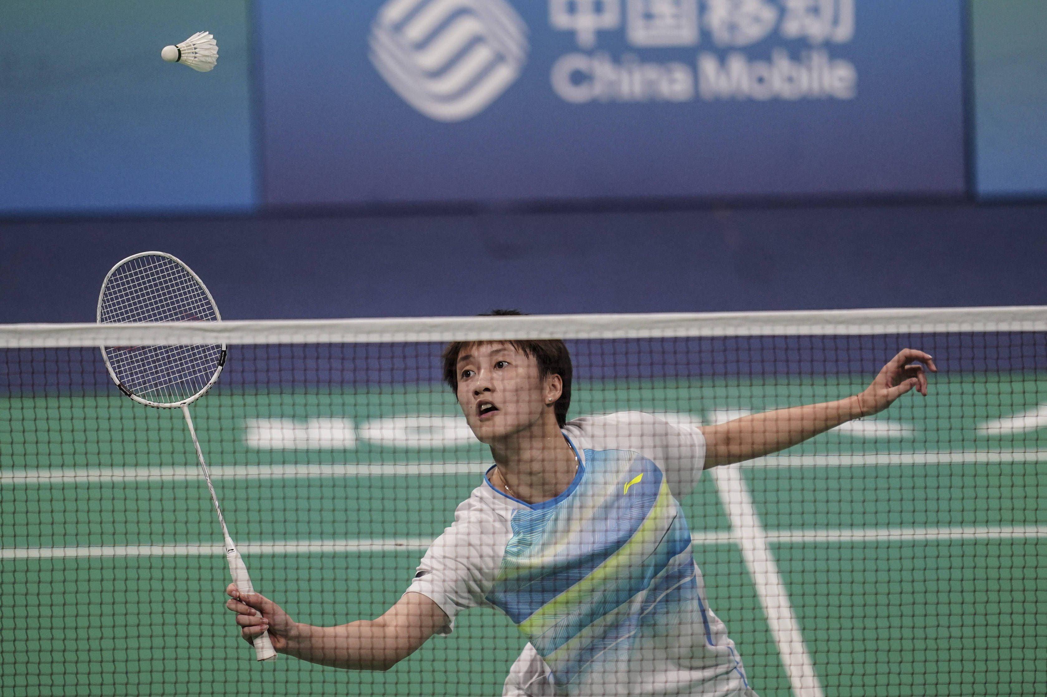 灰熊作为 灰熊作为